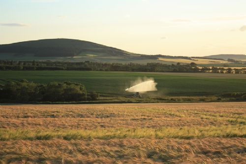 Una agricultura no puede ser sostenible si olvida a las personas trabajadoras asalariadas