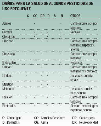 imagen2