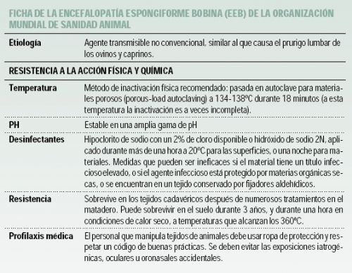 Prevencin de riesgos laborales frente a las encefalopatas espongiformes transmisibles