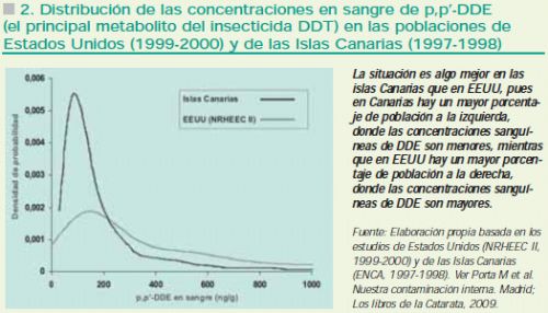 imagen1