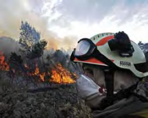 Incendios forestales 2009, un ao para no olvidar y tomar buena nota 