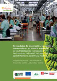 Necesidades de informacin, formacin y asesoramiento en materia ambiental de los trabajadores y delegados de las industrias del metal, qumica, textil, agroalimentaria, cermica y madera 