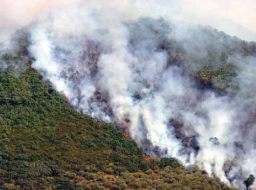 Incendios forestales, no podemos bajar la guardia 