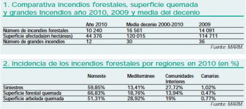 imagen2