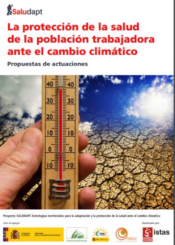 imagen1
