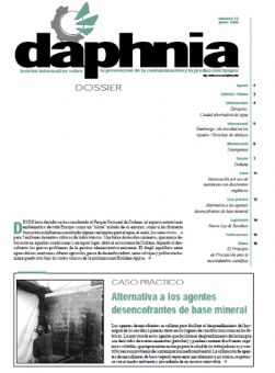 Revista 13 en PDF