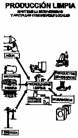 Produccin Limpia