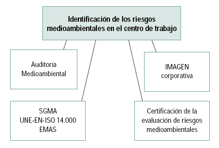 imagen8