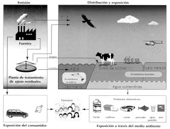 Algunos ejemplos de efectos de ecotoxicidad y sus fuentes
