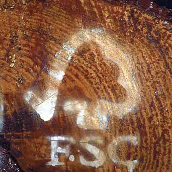 La certificación FSC